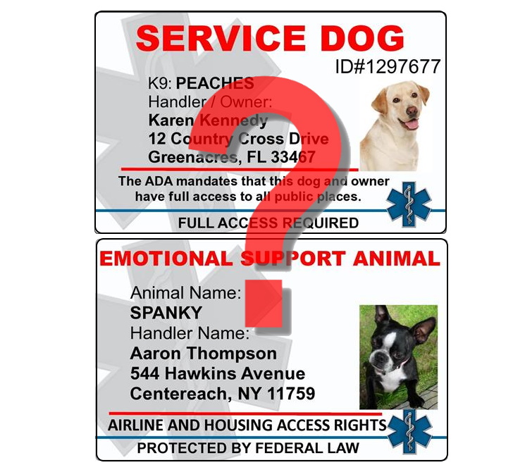 is my dog a service dog or emotional support animal